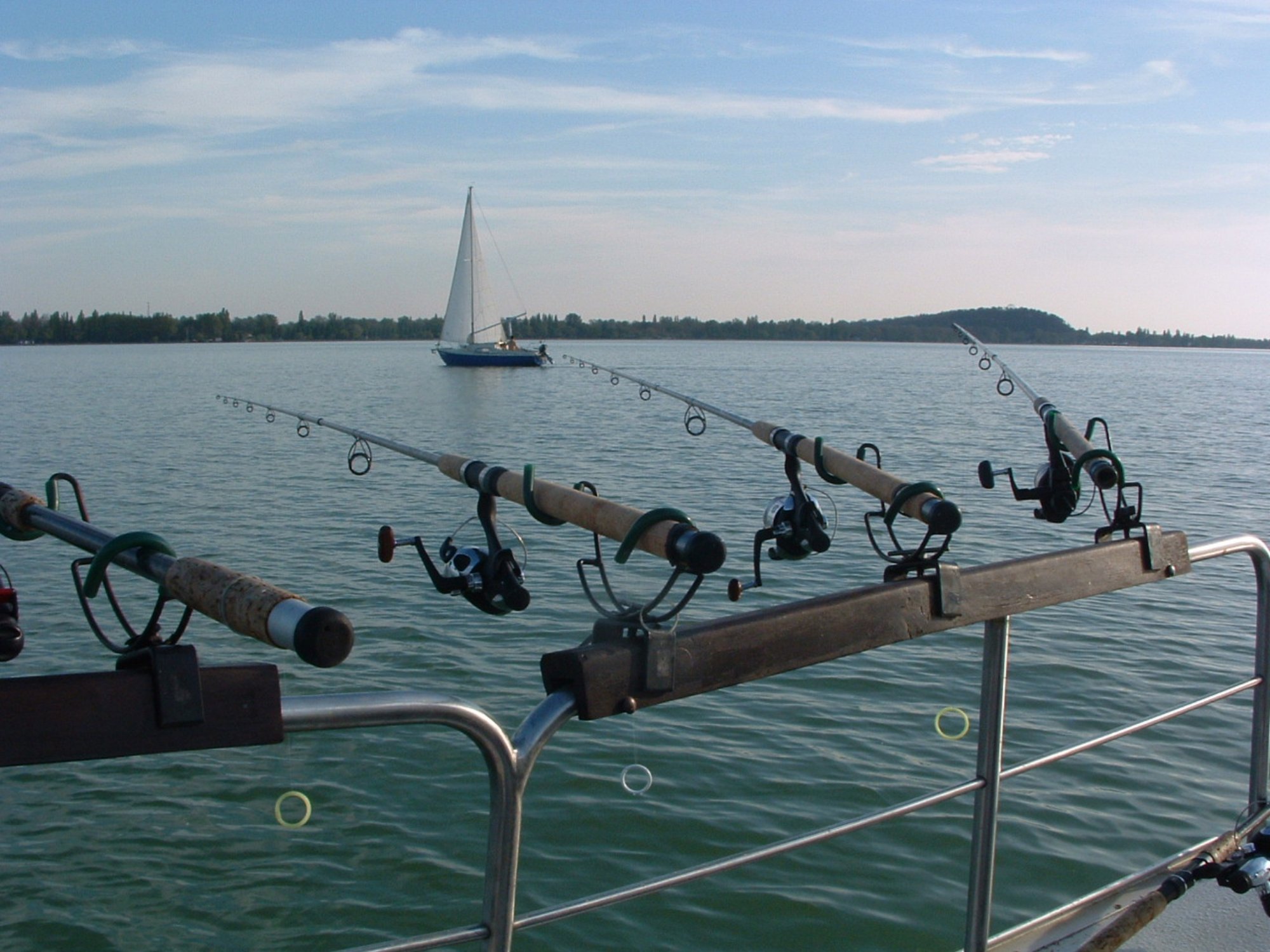 Túljelentkezés és rekord közeli fogások a somogyi horgászversenyeken