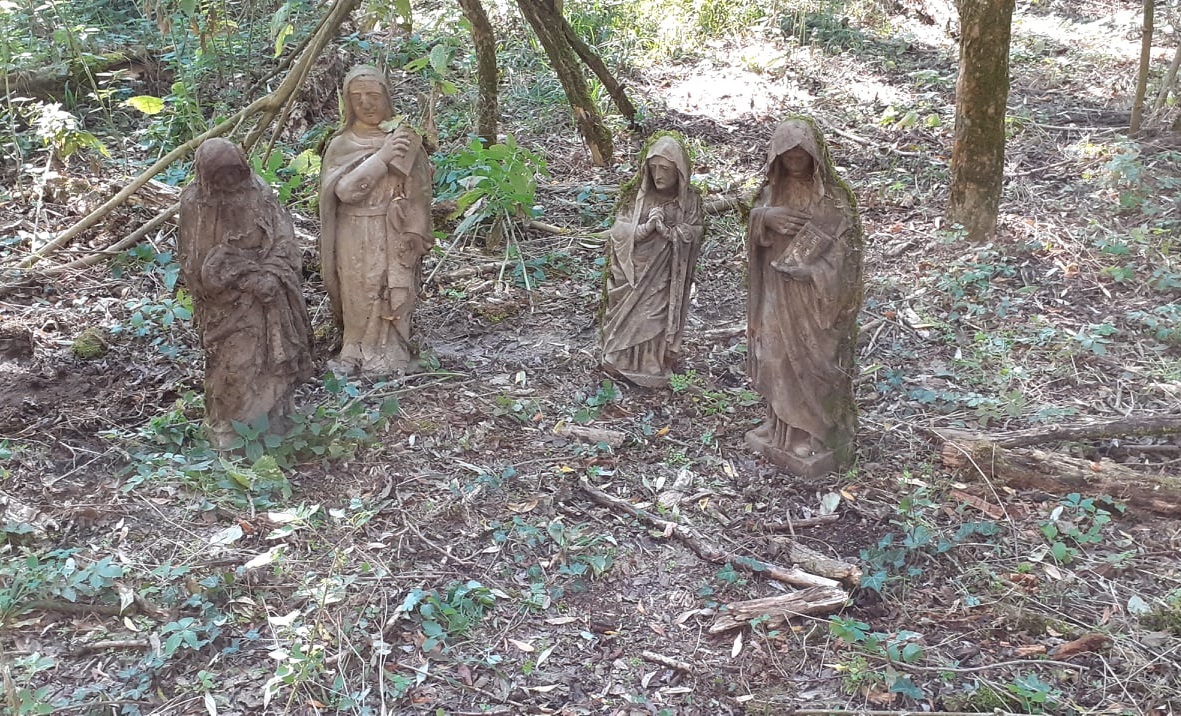 Értékes műtárgyakra leltek egy Balaton melletti erdőben