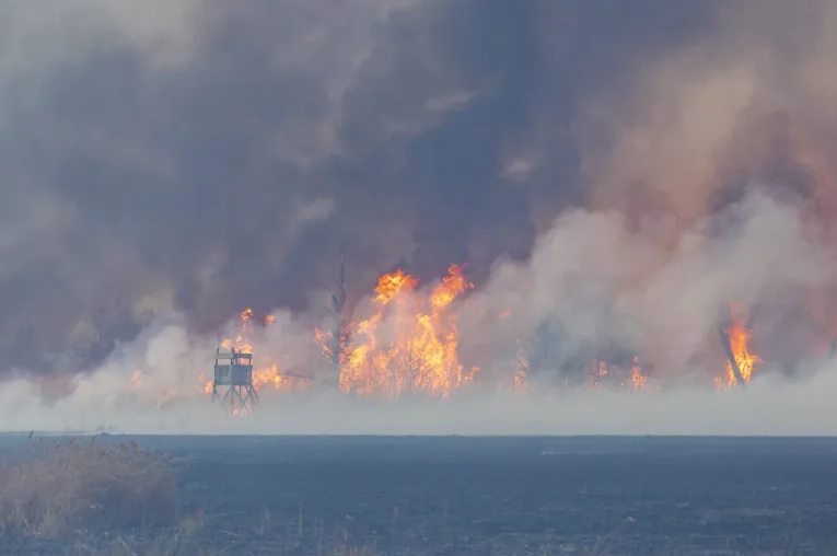 600 hektáron égett a Kis-Balaton nádasa