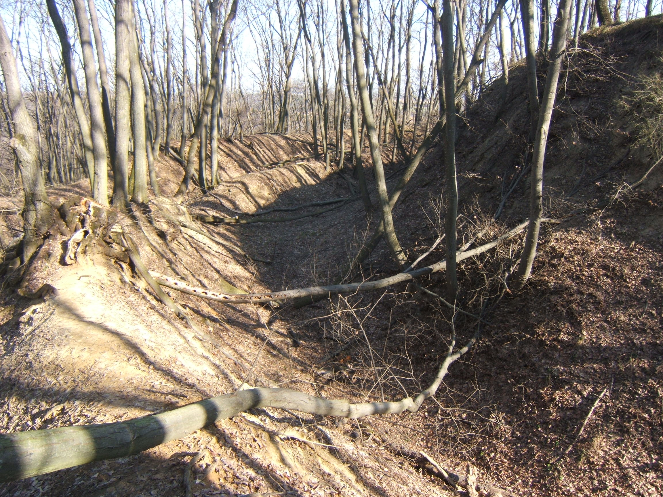 Bakancslistás helyek a Balaton körül – Kási vár, Nyim