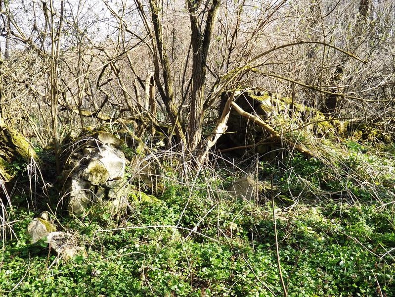Bakancslistás helyek a Balaton körül – Hullay vízimalom romja, Rezi