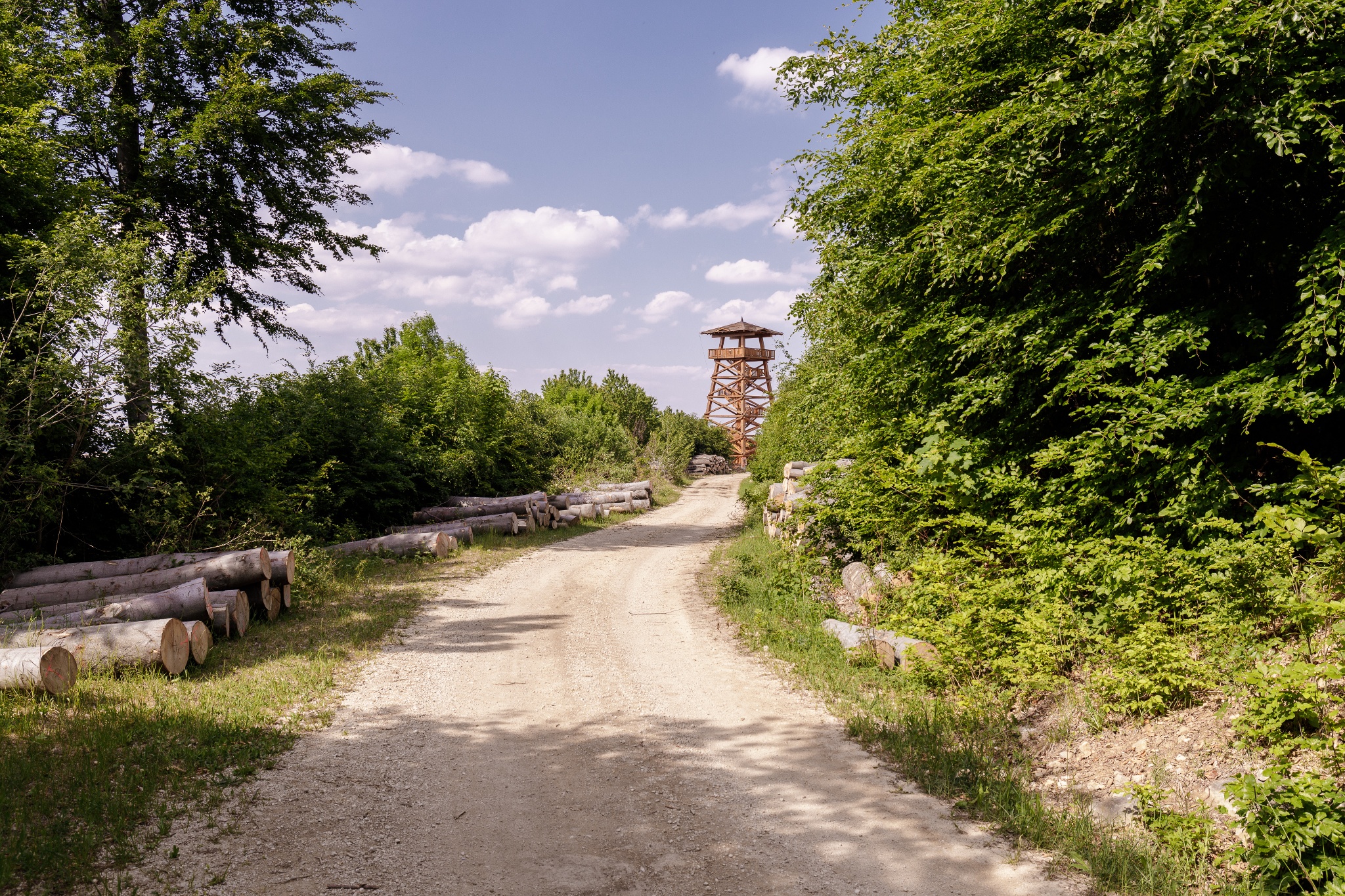 Bakancslistás helyek a Balaton körül – Széchenyi Zsigmond-kilátó, Tés