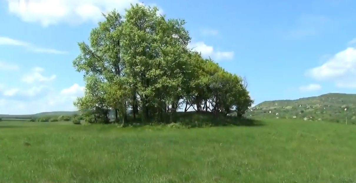 Bakancslistás helyek a Balaton körül – Sásdikáli templomrom