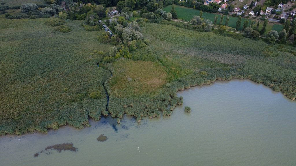 Védett szigligeti öbölben kotornák a medret egy új horgászparadicsom miatt