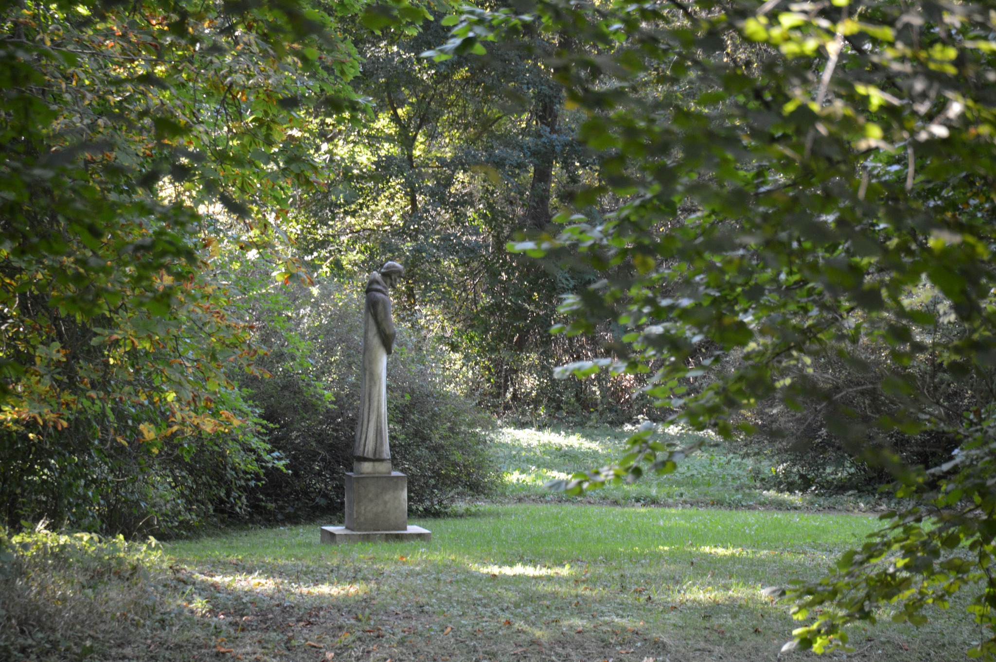 Súlyos problémával küzd a Zirci Arborétum, egy egész faj került veszélybe