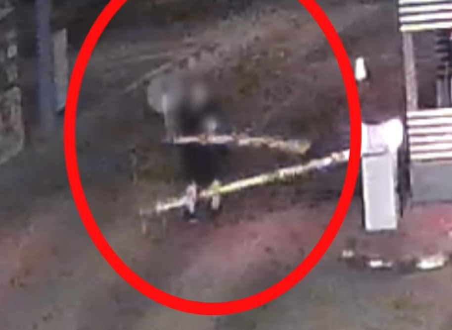 A sorompókon állt bosszút egy férfi mert nem járt a komp