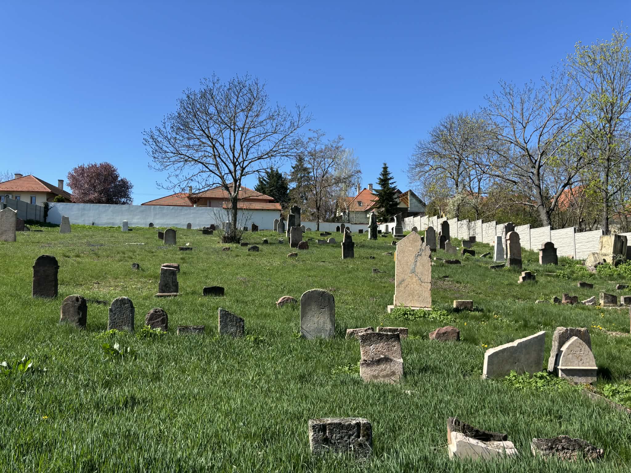 Bakancslistás helyek a Balaton körül – Szél utcai izraelita temető és emlékpark, Veszprém