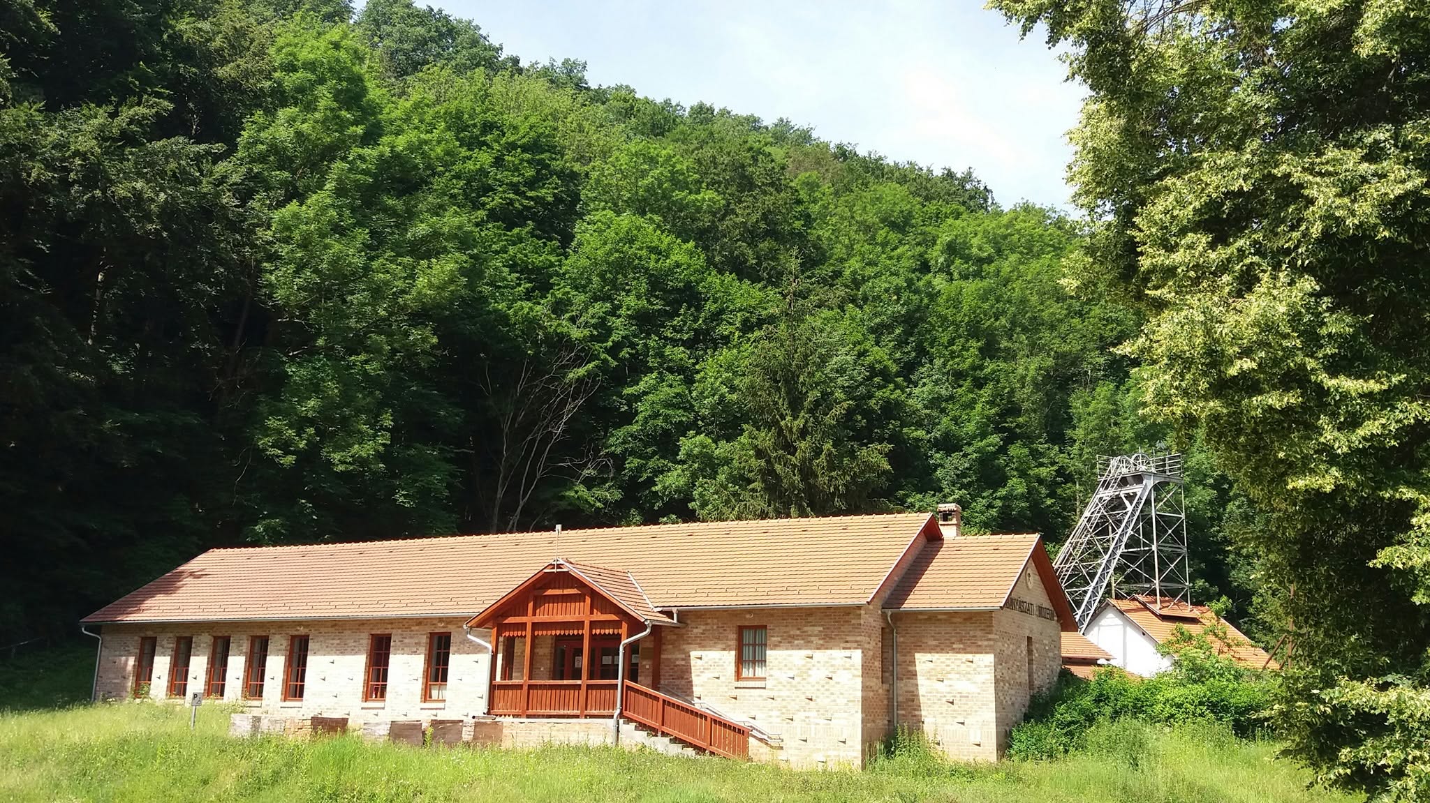 Bakancslistás helyek a Balaton körül – Ajkai Bányászati Múzeum, Őslény- és Kőzettár