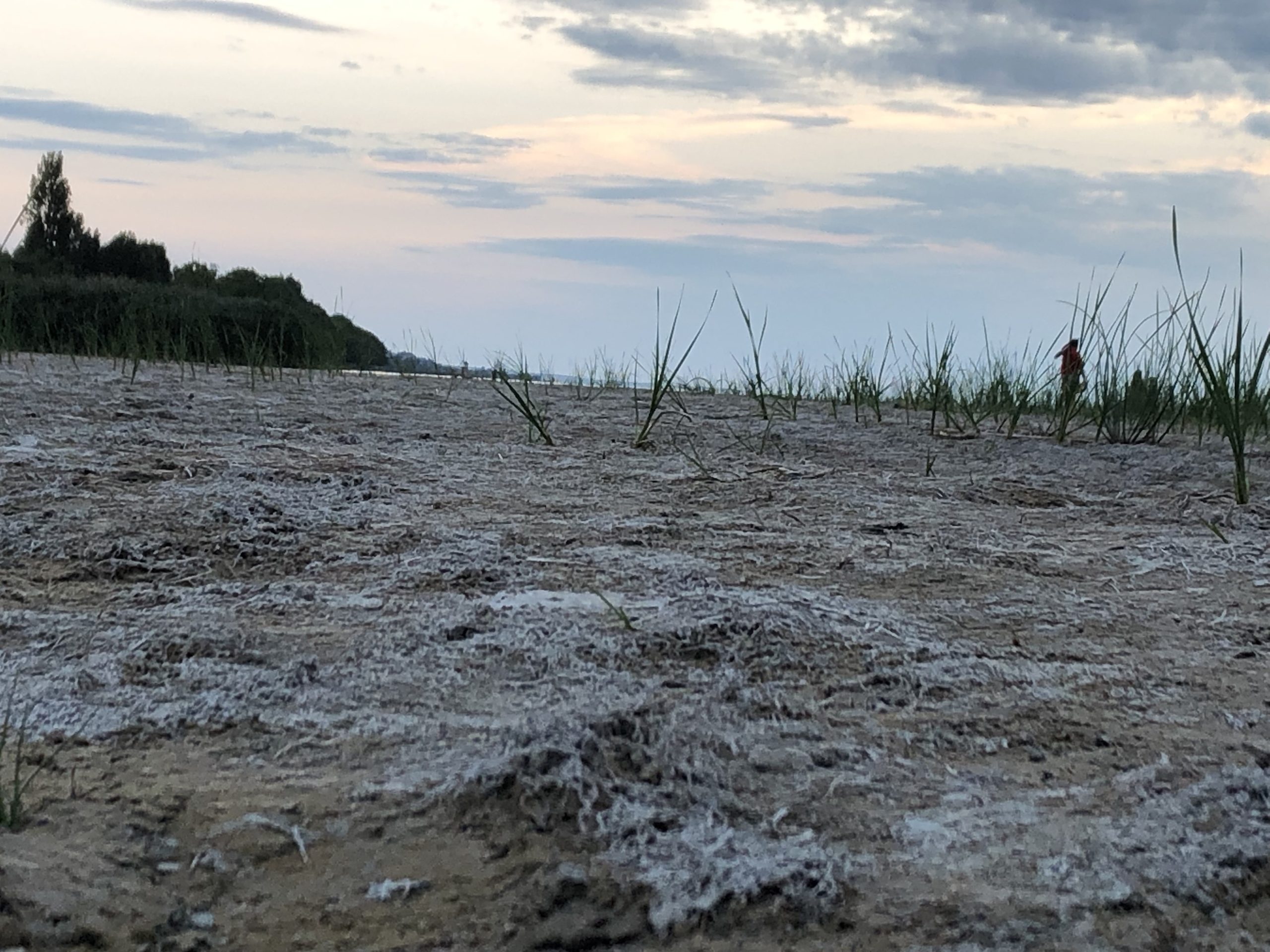 11 ezer év aszályainak nyomai a Balaton mélyén