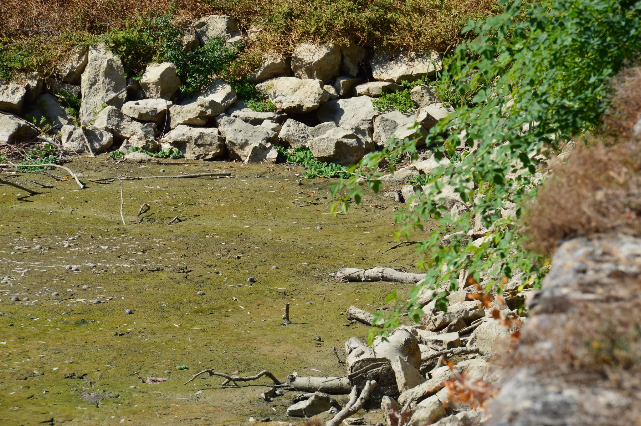 Kiszáradt a Zirci Ciszterci Arborétum tava is